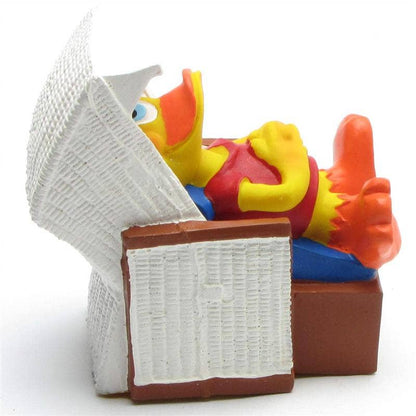 Canard Chaise de plage