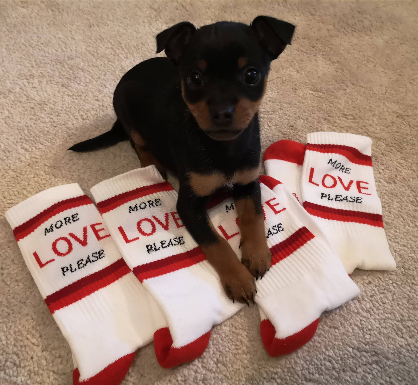 More Love Please Socks