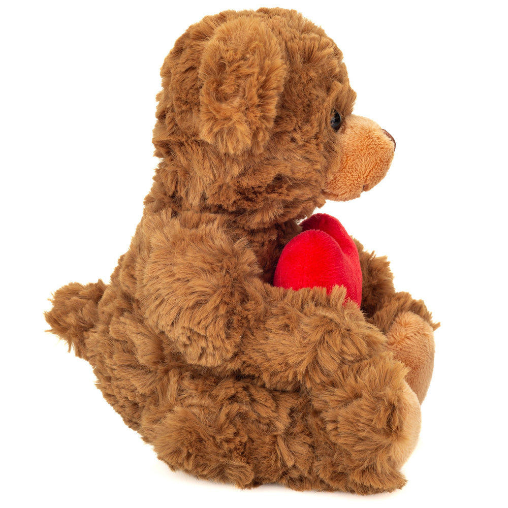 Peluche Teddy Marron avec Cœur – 20 cm