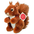 Peluche Scoiattolo
