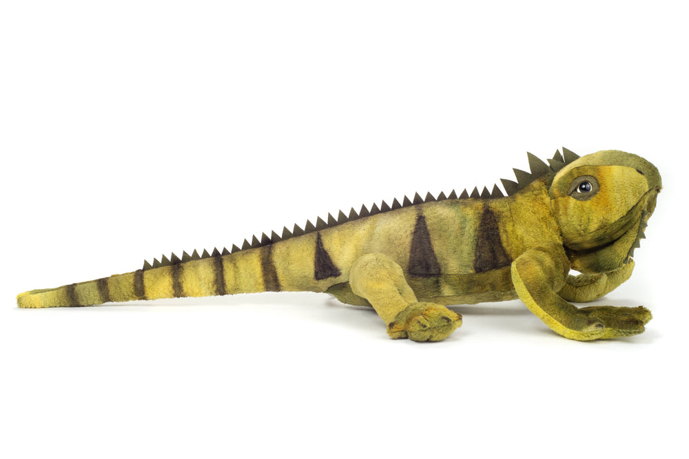 Leguan Plüschtier – 49 cm