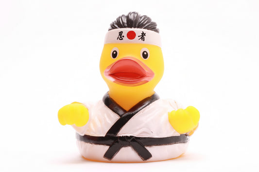 Karate Duck