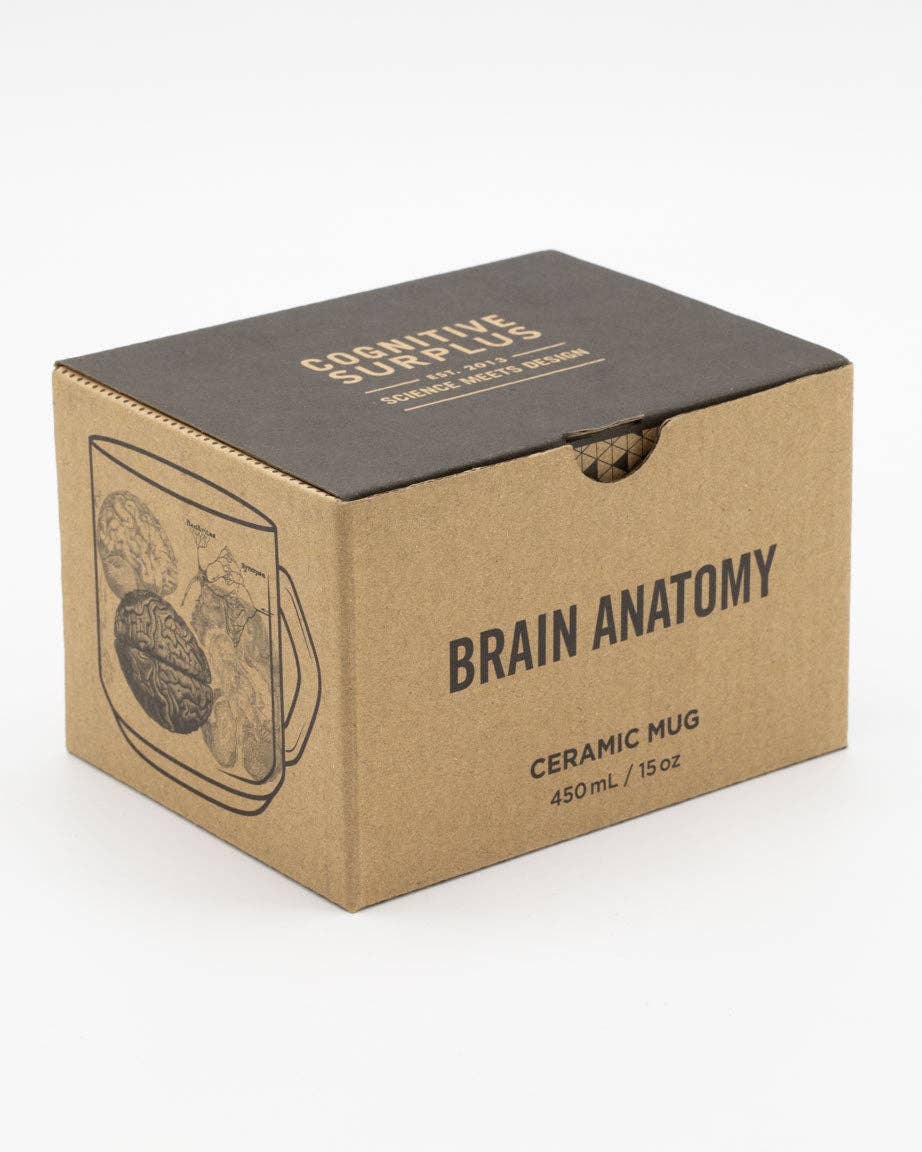 Mug Anatomie du Cerveau – 443 ml