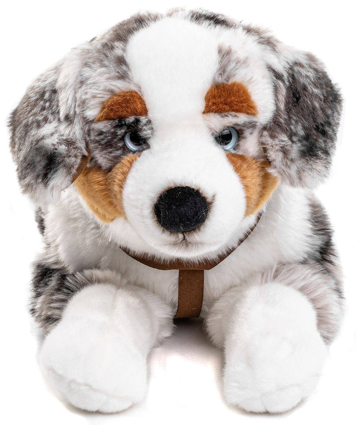 Peluche berger australien allongé avec harnais