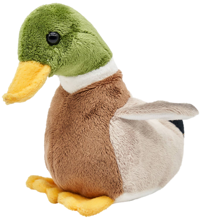 Peluche Canard Colvert