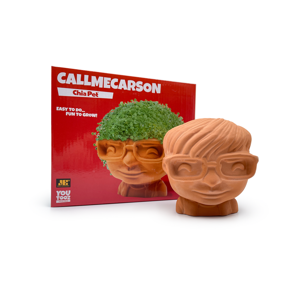 Figurine CallMeCarson (Chia Pet)
