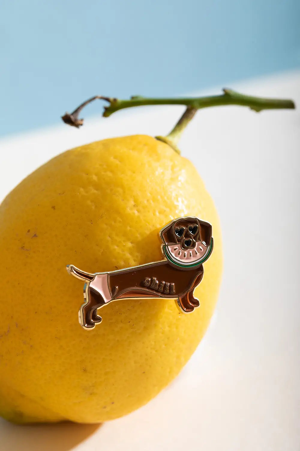 Chill Doggy - Pins