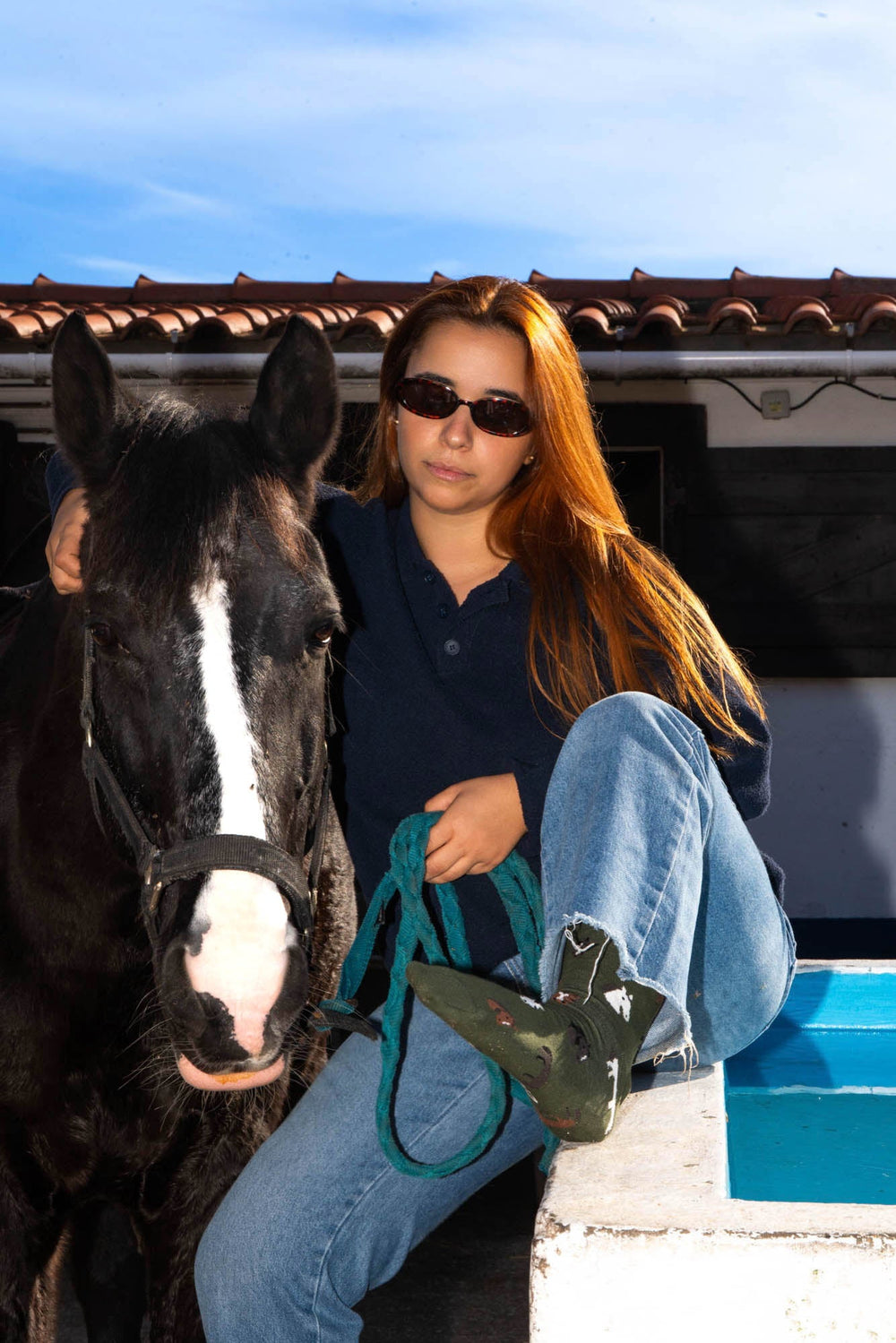 Chaussettes « Barão – Cheval Lusitanien »