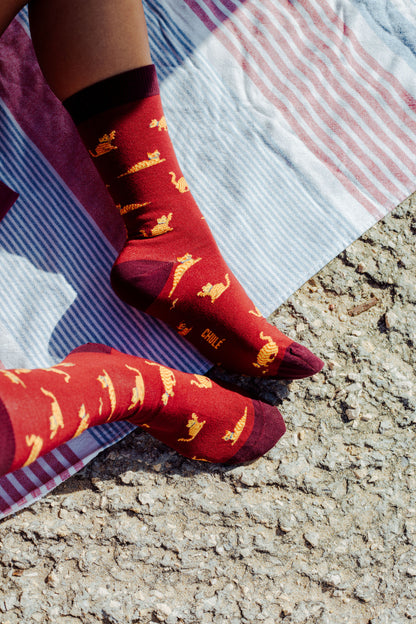 Chaussettes « Beco – Chat » - Chulé