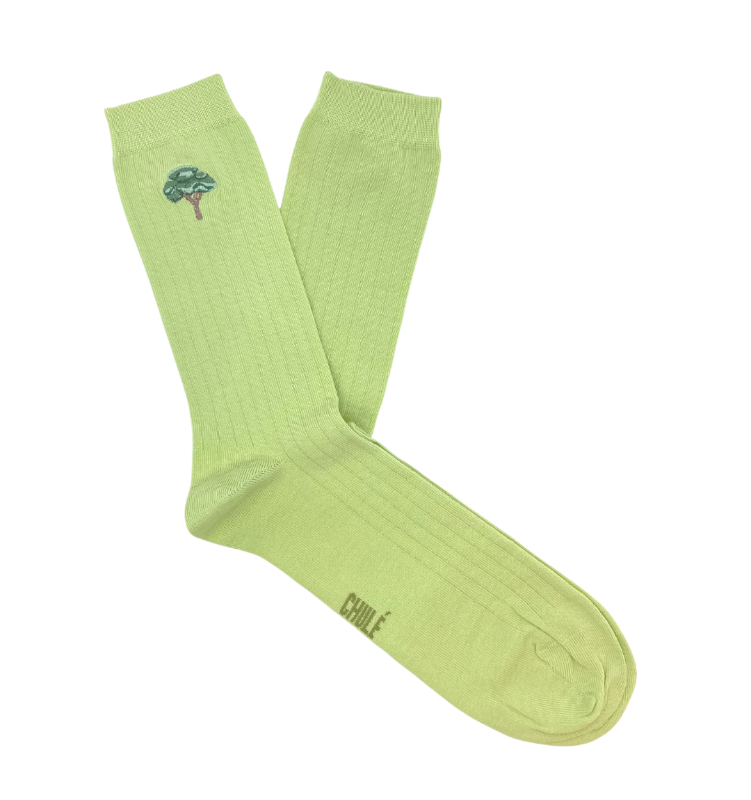 Chaussettes « Arbre » - Chulé