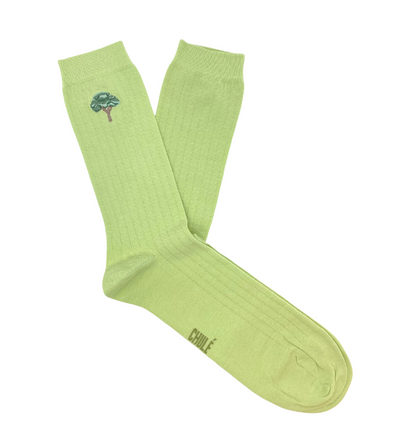 Chaussettes « Arbre » - Chulé