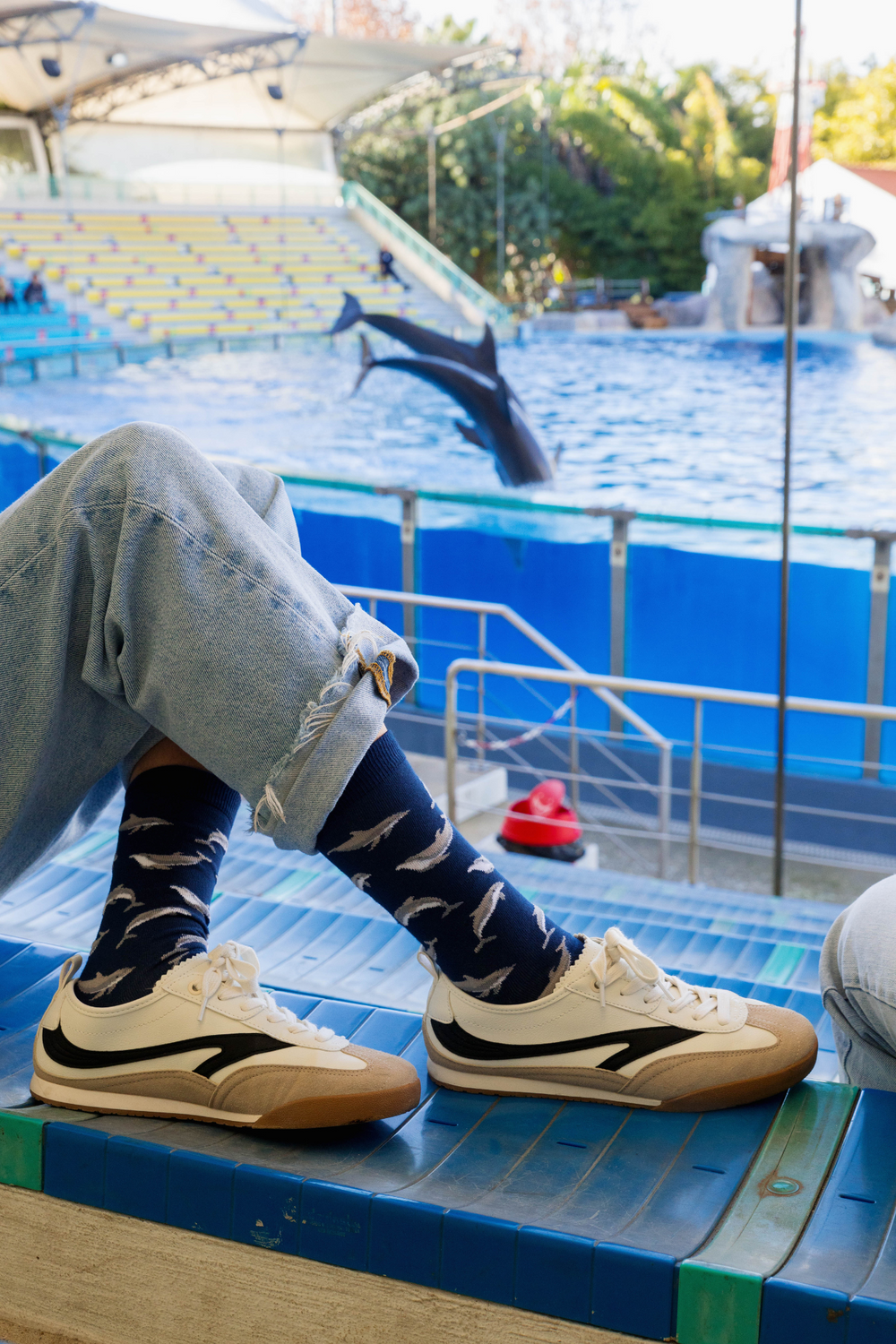 Chaussettes « Dauphins »