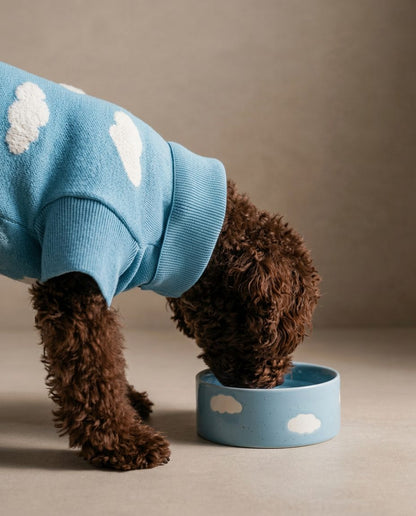 Cloud Pet Bowl 14cm 2-Piece Set