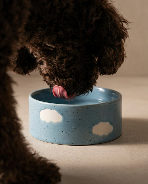 Cloud Pet Bowl 16.5cm 2-Piece Set