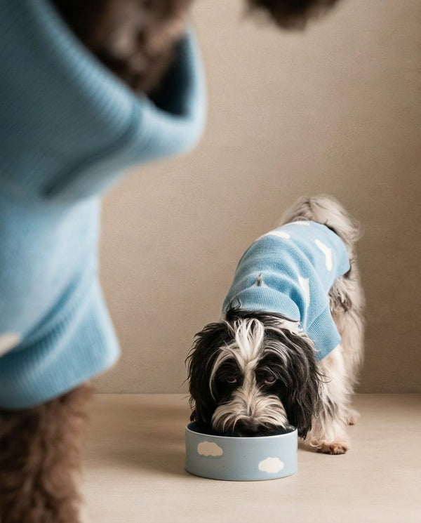 Cloud Pet Bowl 14cm 2-Piece Set