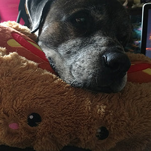 Peluche Comfort Food Squishable – Hot-Dog