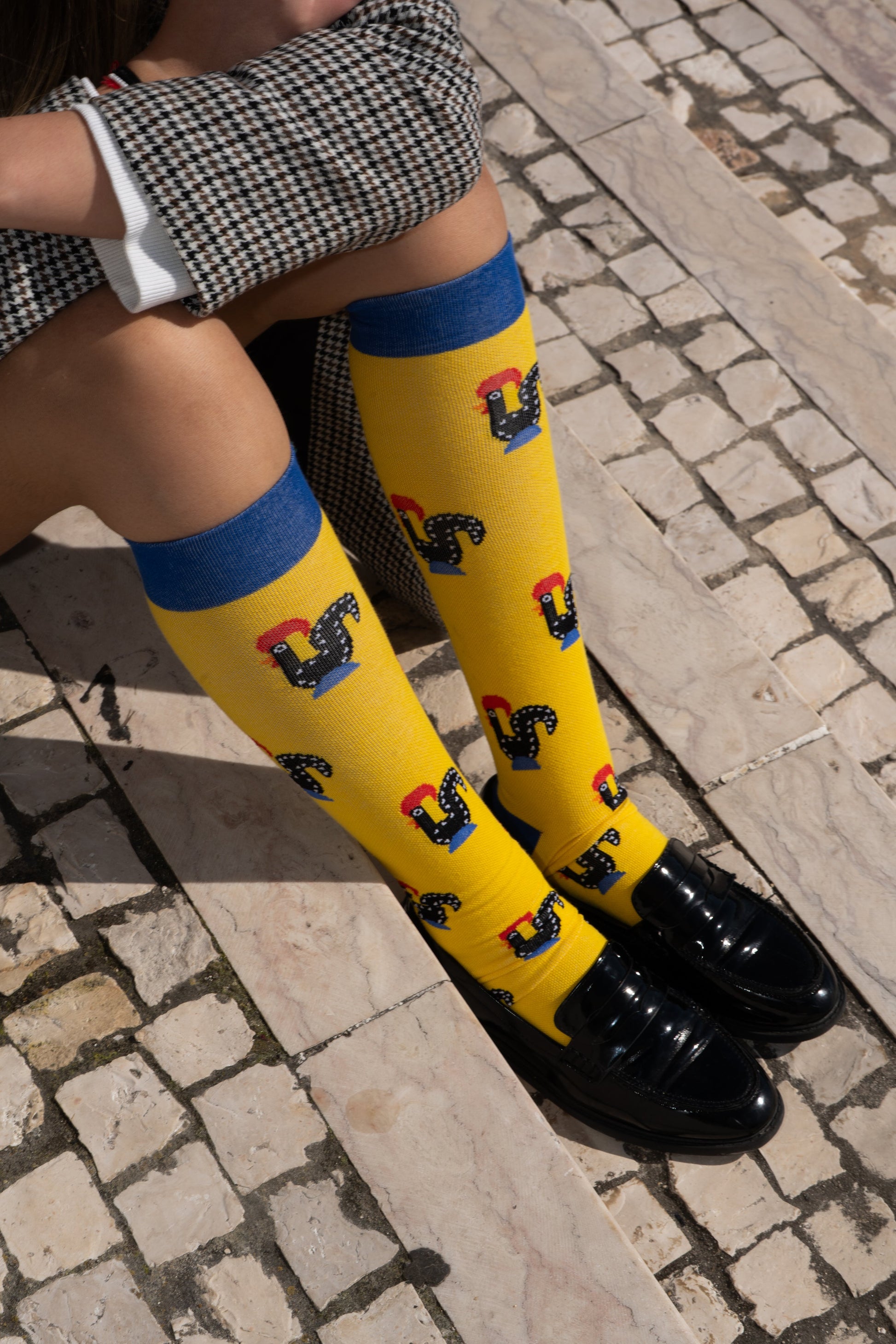 Chaussettes de Compression « Coq » - Chulé