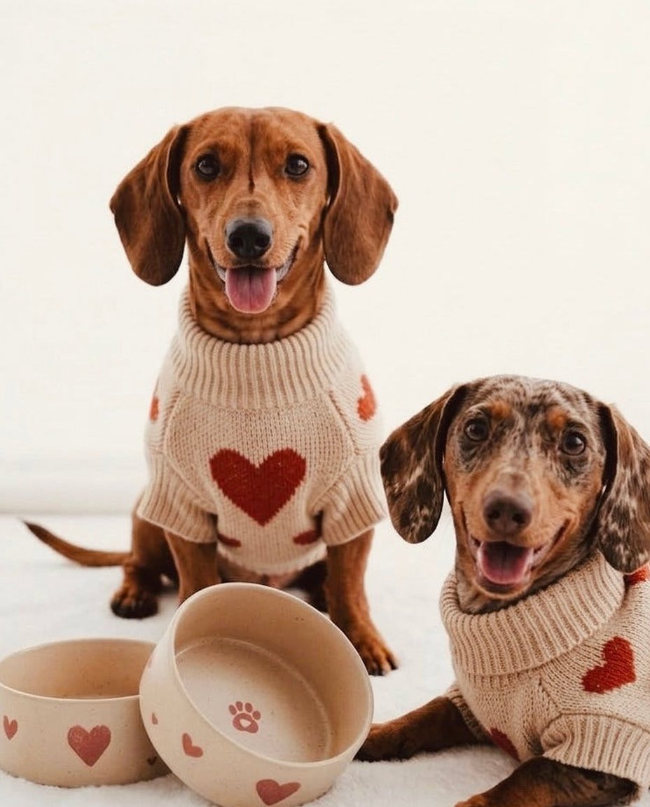 Cozy Hearts Gamelle pour animaux en grès 14 cm, ensemble de 2 pièces