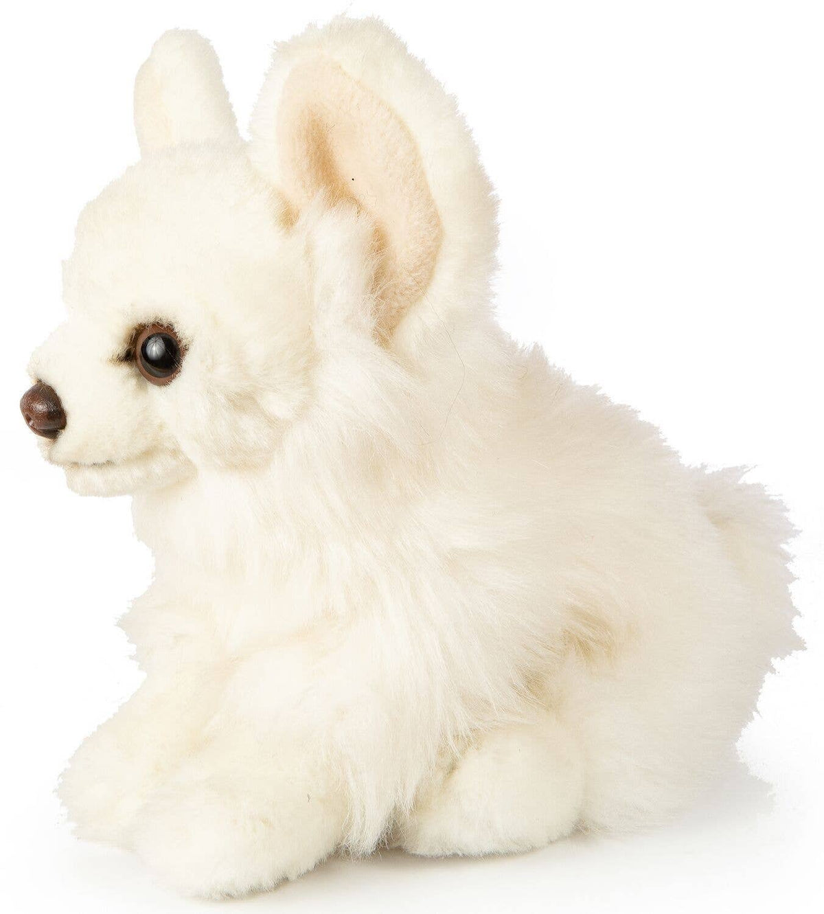 Peluche chihuahua blanc assis