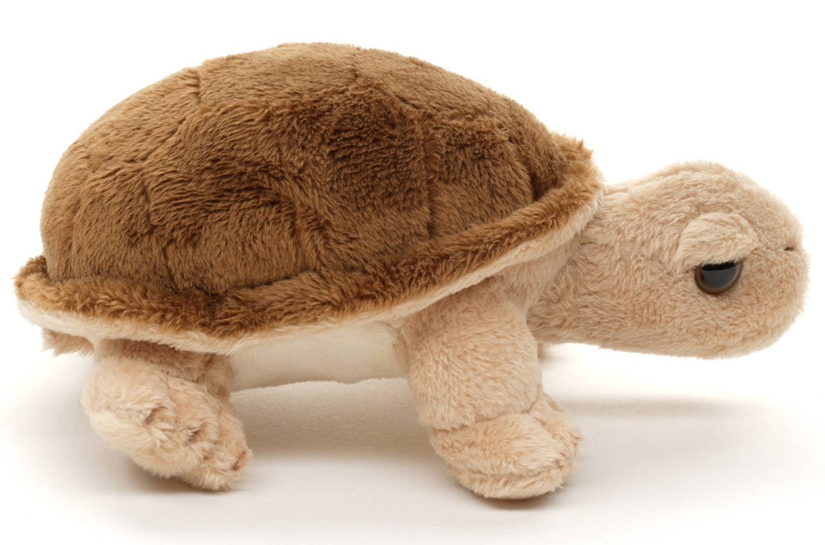 Peluche tortue