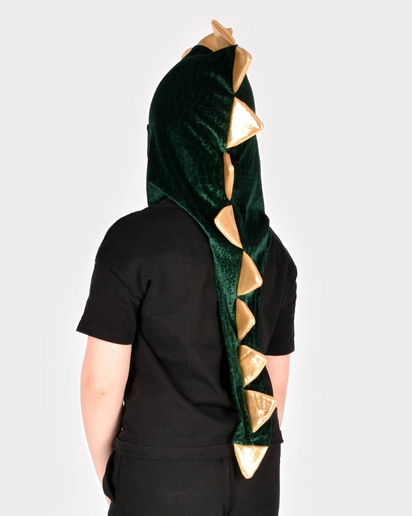 Dragon Hood with Gold Spikes, 3-5 years
