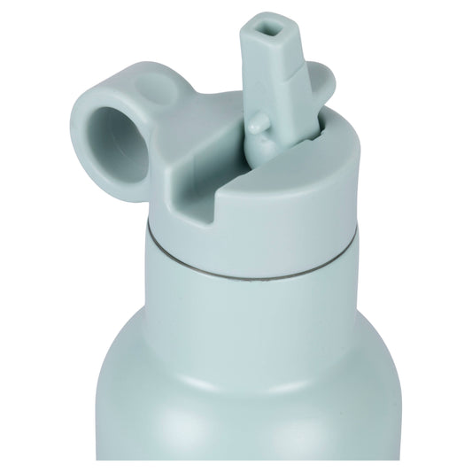 Gourde Lion 420ml