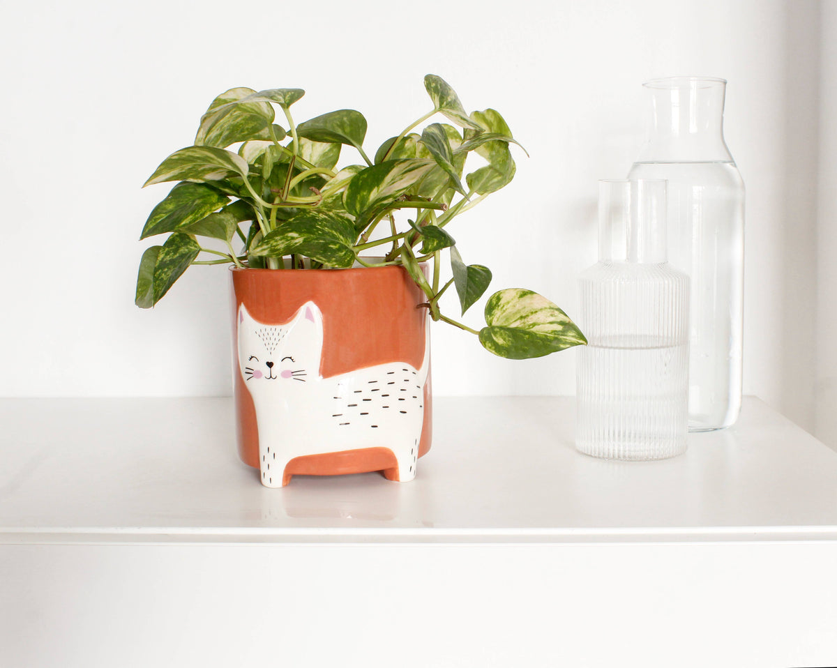 Cat Flower Pot