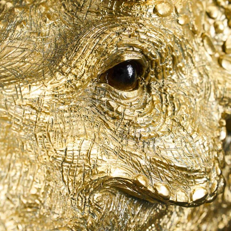 Triceratops Cera Gold wall light, resin, 31.5 x 28.5 cm