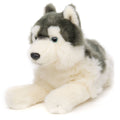 Peluche Husky Gris, Couché - 38 cm (Longueur)