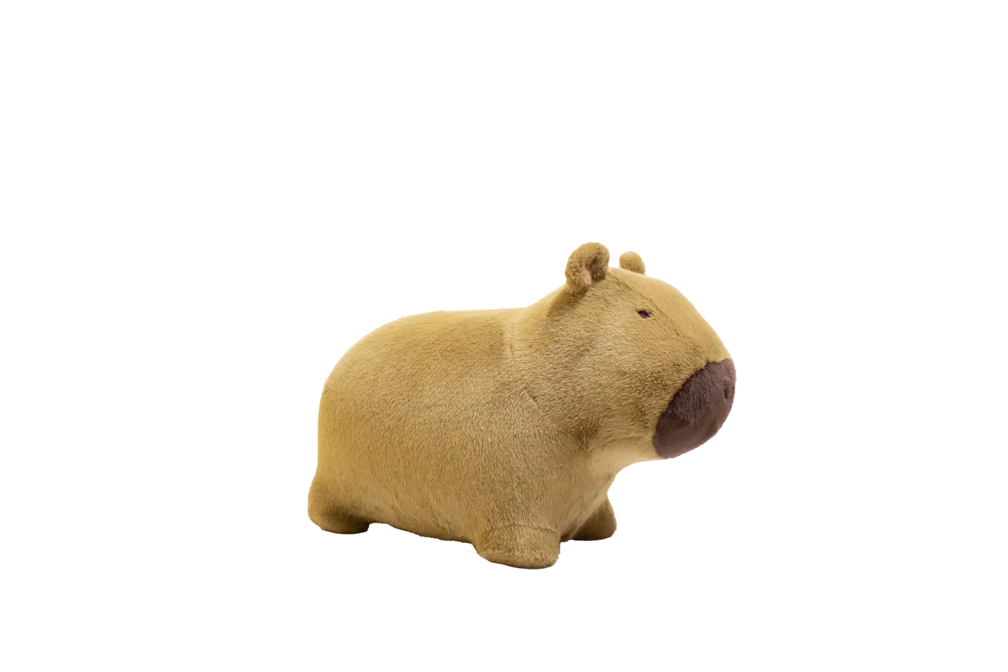 Soft and bouncy capybara