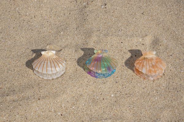 Seashell Hair Clip with Foam