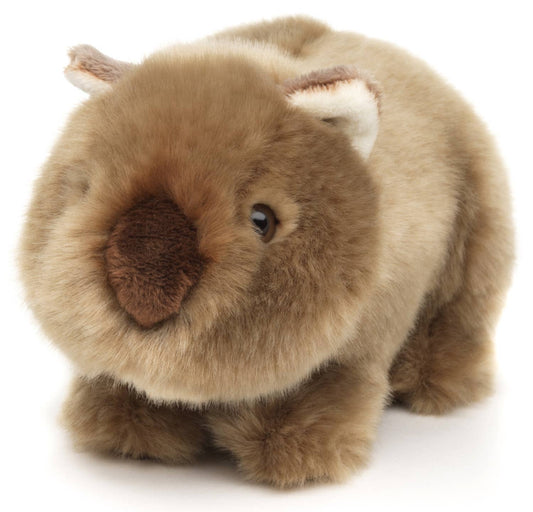Peluche Wombat
