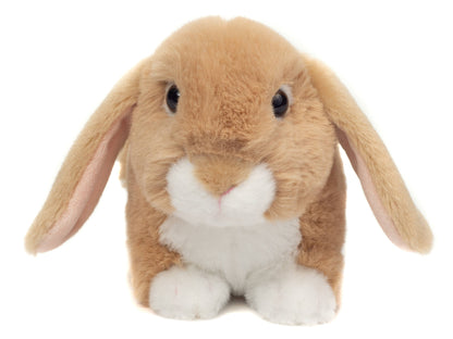 Beige Lop Rabbit Plush Toy