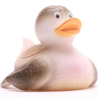Canard tortue de mer