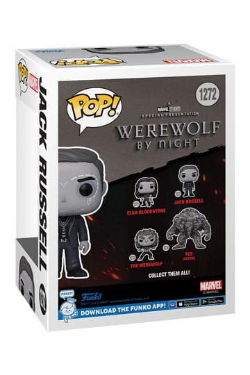 pop jack russel 1272