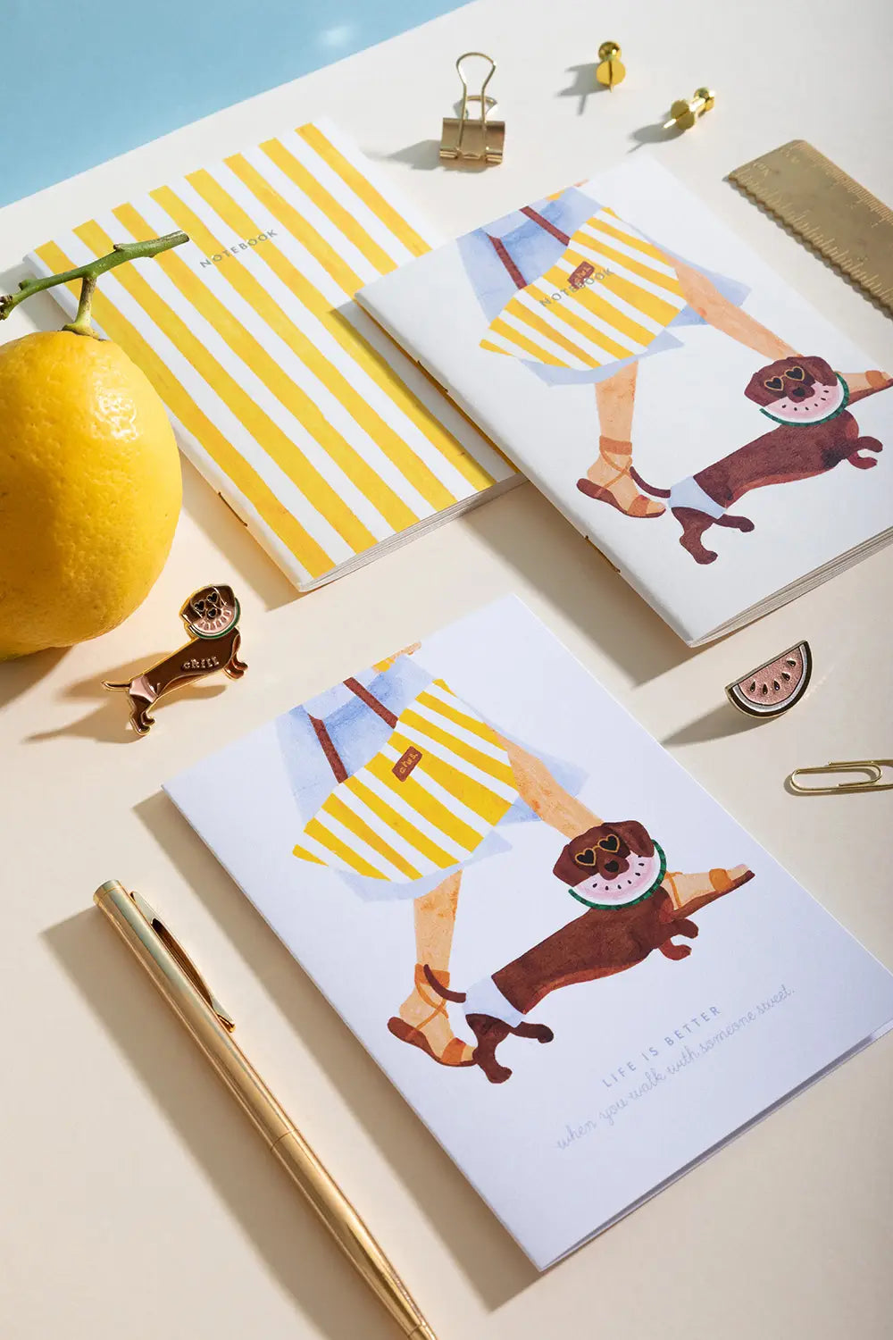 Summer Dachshund - A6 DUO Pocket Notebook