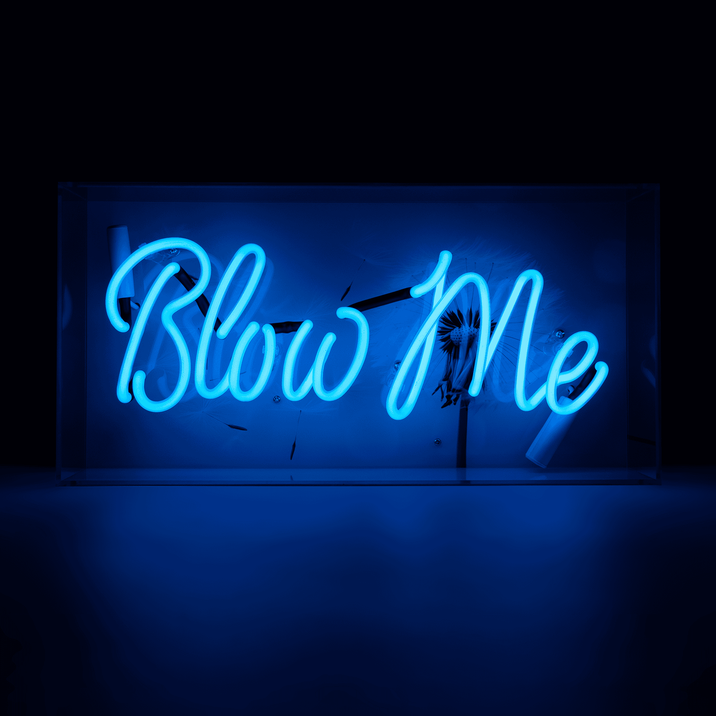 'Blow Me' Neon Box Sign