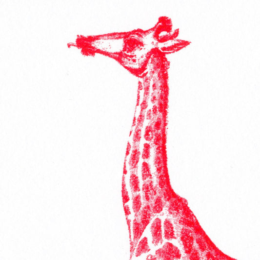 Red Giraffe Postcard