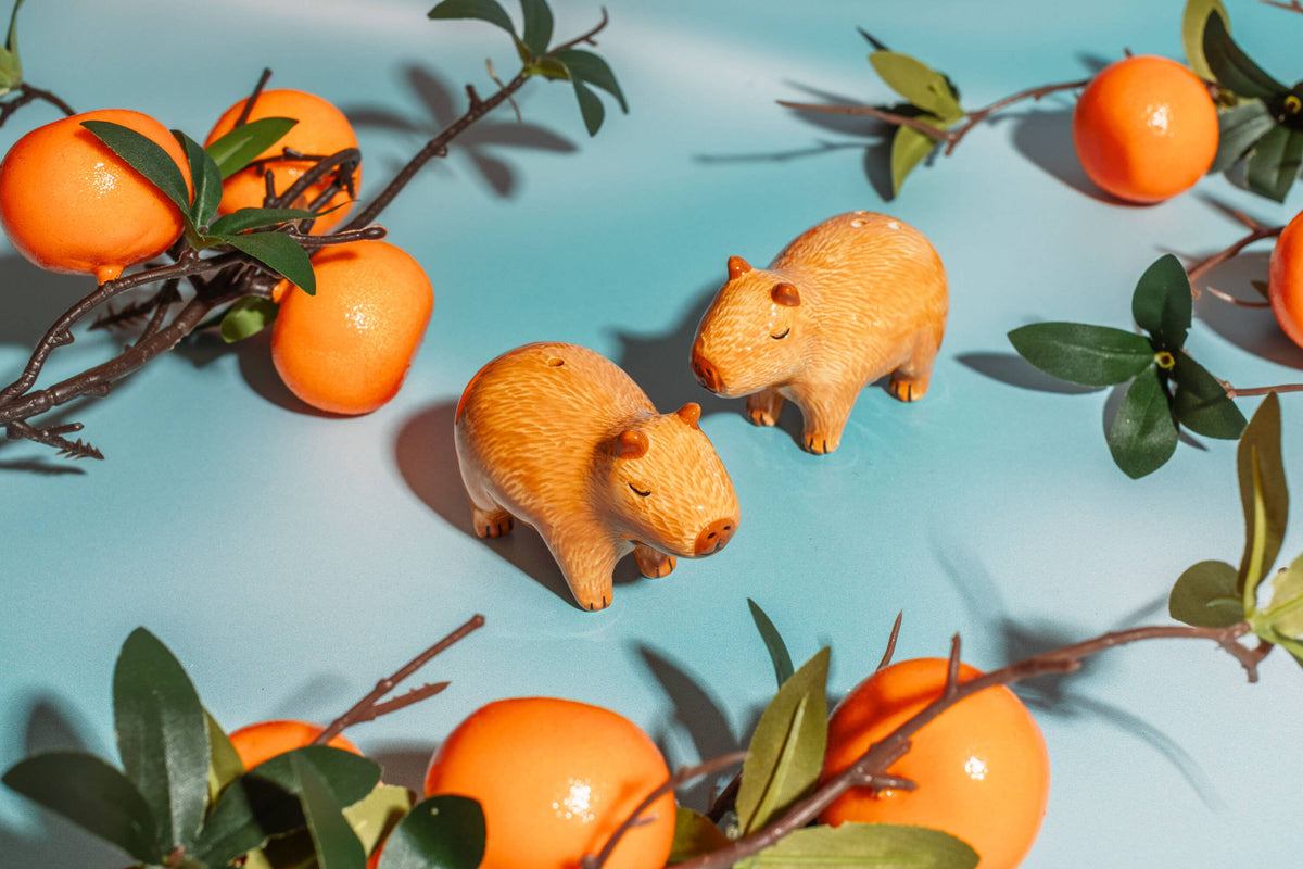 Salt and Pepper Capybaras