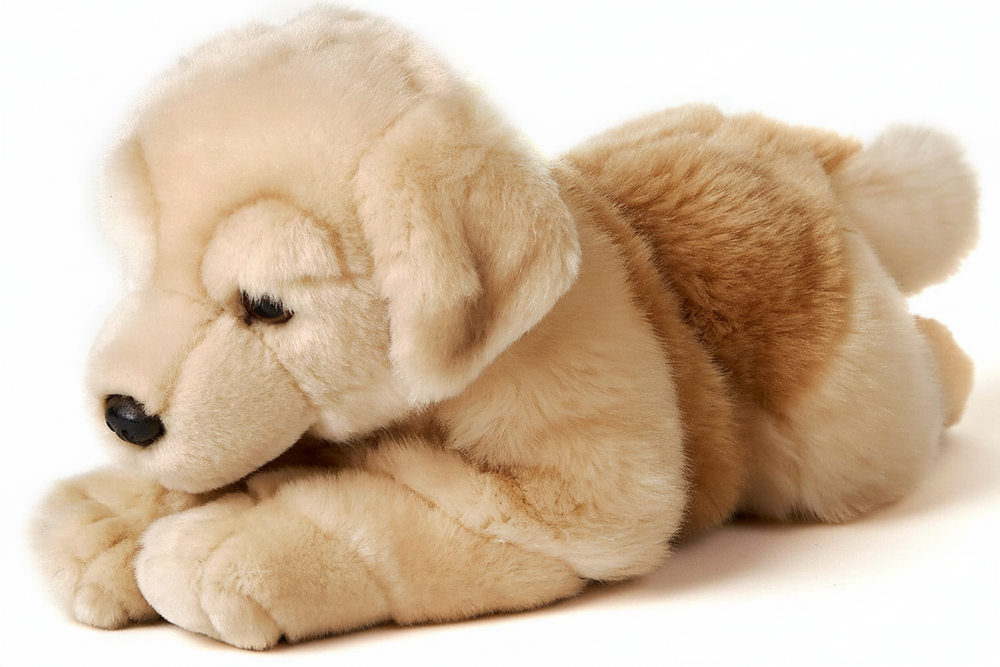 Peluche Golden Retriever, Couché - 31 cm (Longueur)