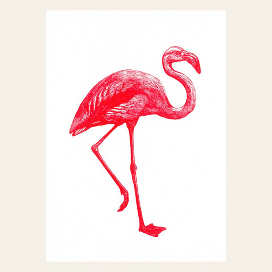 Pink Flamingo Postcard
