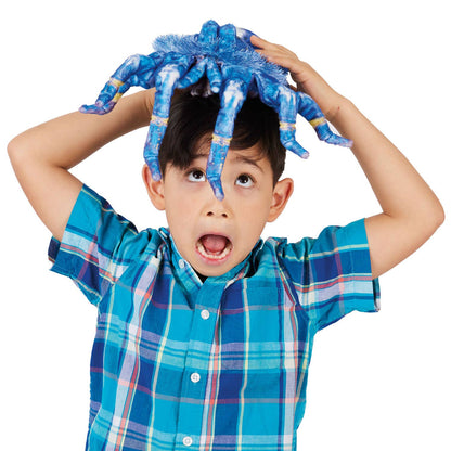 Marionnette à main Tarentule bleue/Tarentule bleue 3222 Folkmanis réaliste