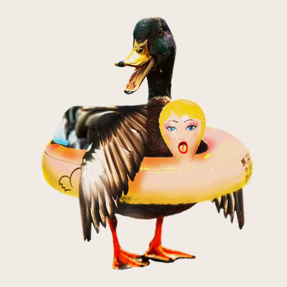 Mallard Duck Cap Buoy 