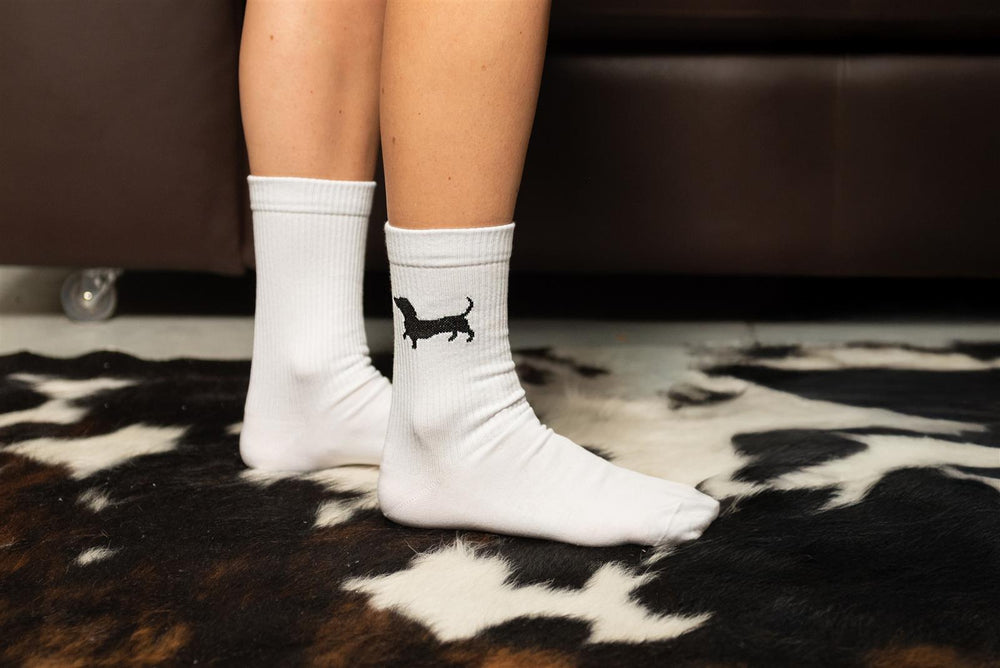 Chaussettes Teckel