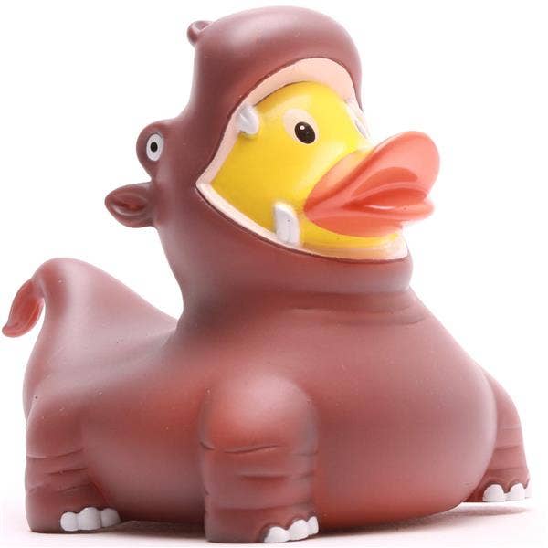 Canard Hippopotame