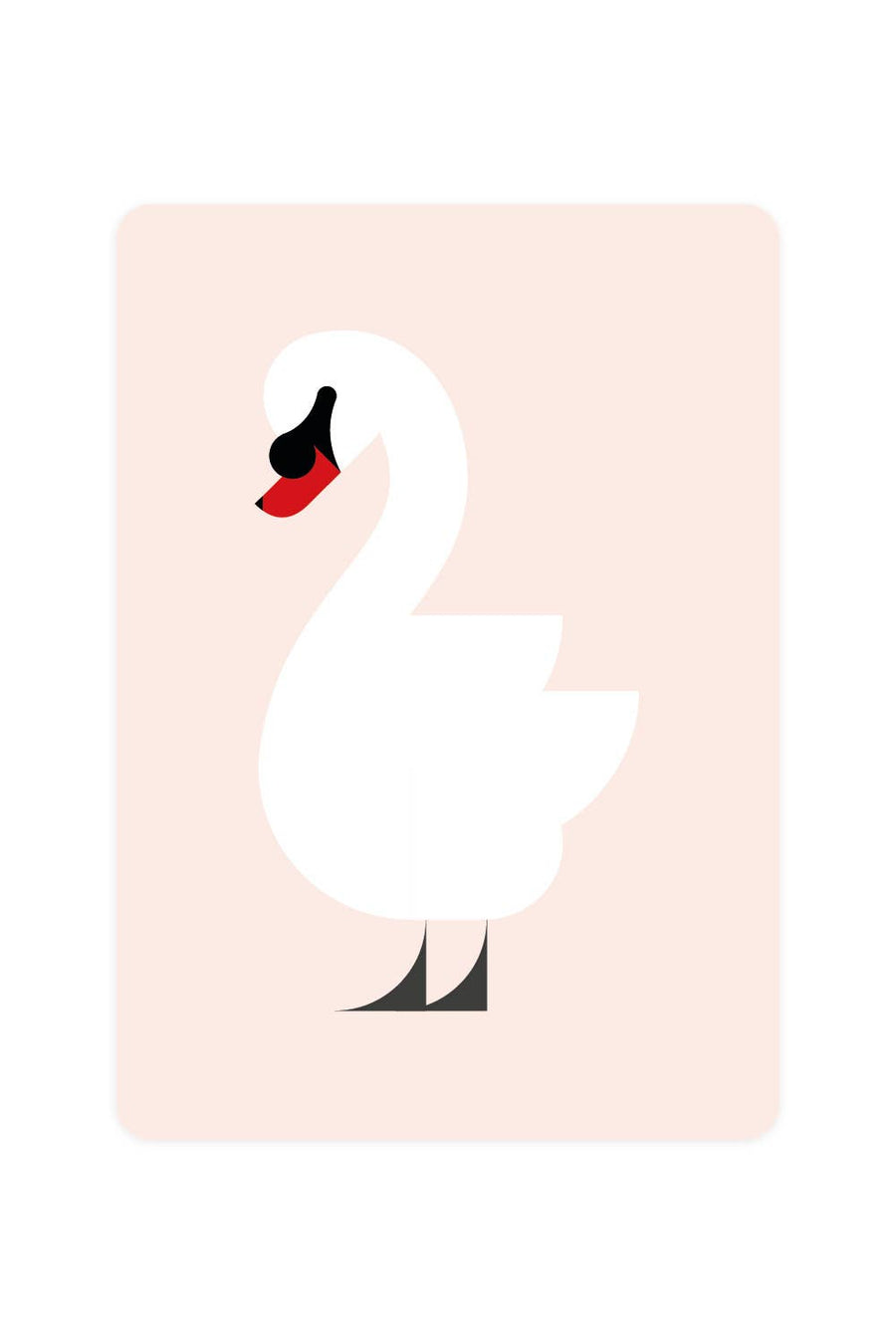 Cigno reale