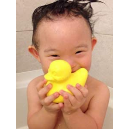 Yellow Duck The Good Duck