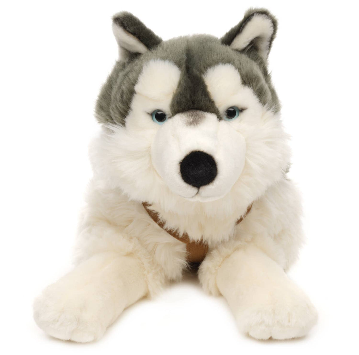 Peluche husky couché avec harnais