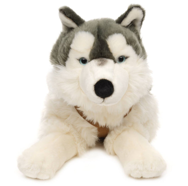 Peluche Husky, couché (avec harnais) Uni Toys