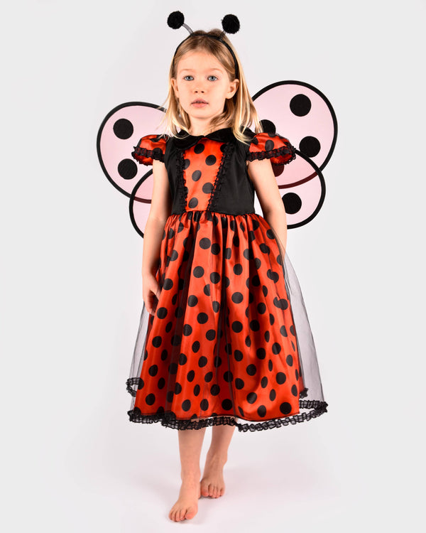 Ladybug dress with accessories for 2-4 years (size 98-104 cm)